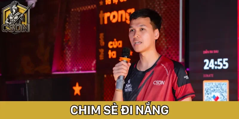 Chim Sẻ Đi Nắng