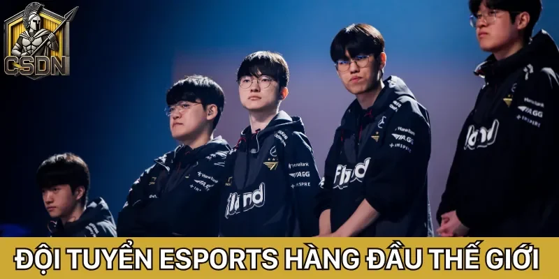 Tin tức Esports về các đội tuyển hàng đầu trong thể loại thể thao điện tử