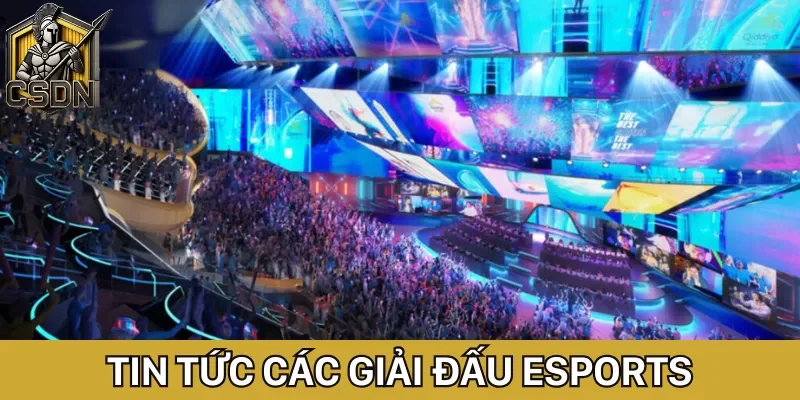 Tin tức xoay quanh các giải đấu Esports luôn được người hâm mộ đón chờ